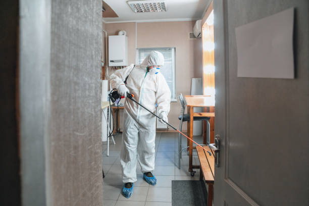 Best Commercial Mold Inspection  in Mledgevle, IL