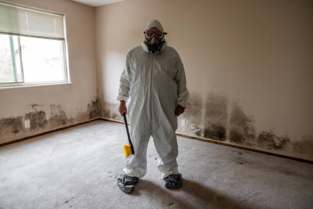 Best Asbestos and Lead Testing During Mold Inspection  in Mledgevle, IL